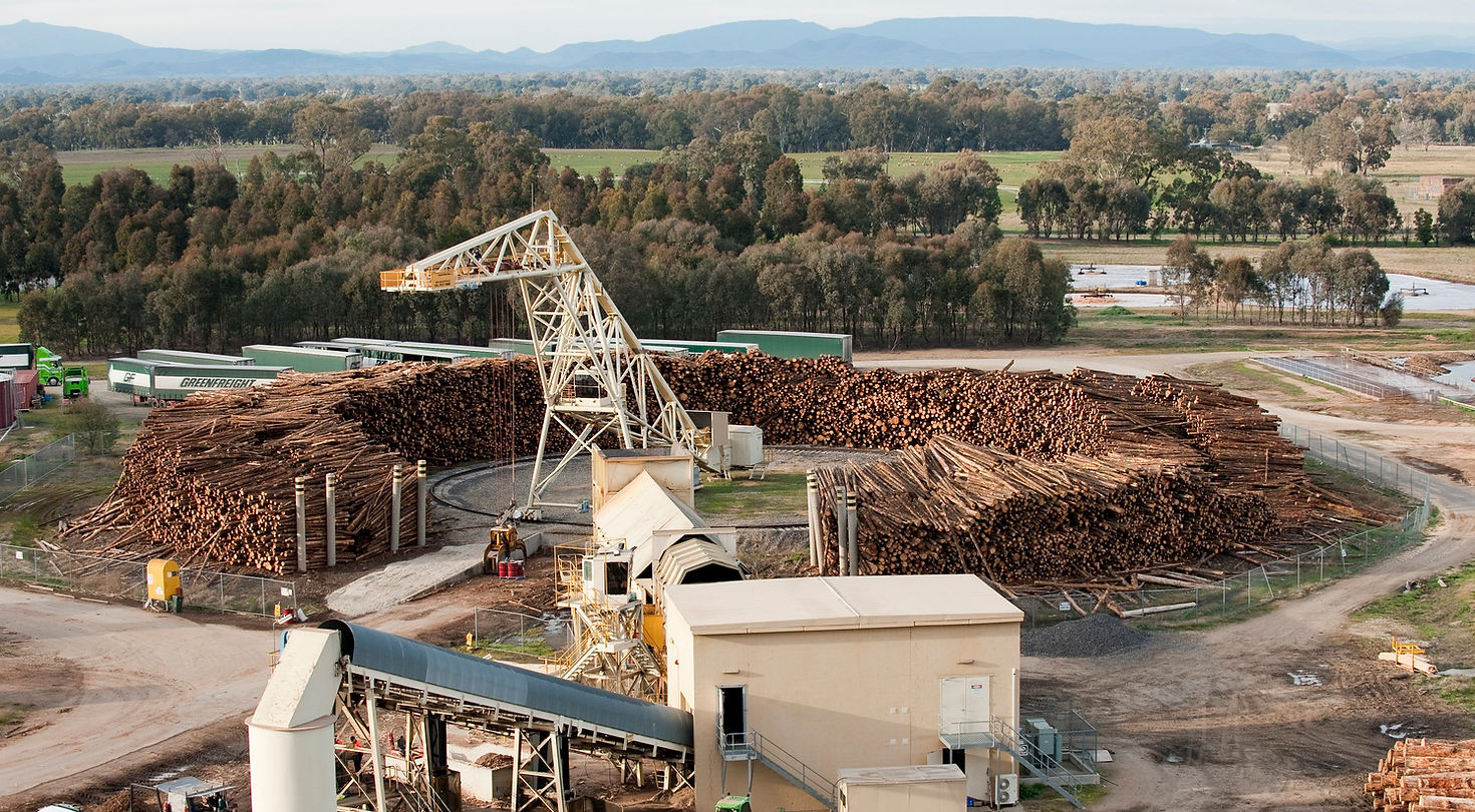 Raw Standard MDF 32mm x 1960x765mm - Australian Made - Image 4